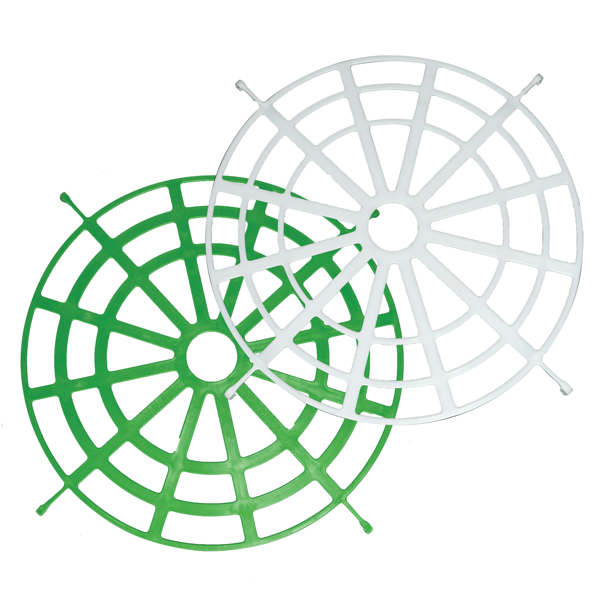 The Forager Regulator