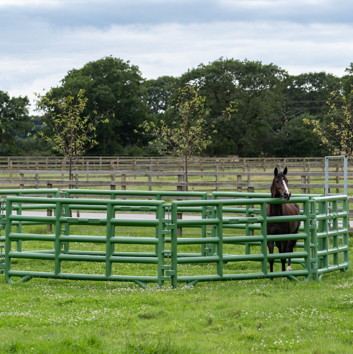 Duracorral Turnout Pen