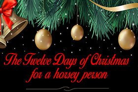 The 12 days of Christmas- for a horse owner!
