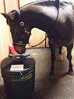 Haygain HG-One winner Erica Fenton is delighted
