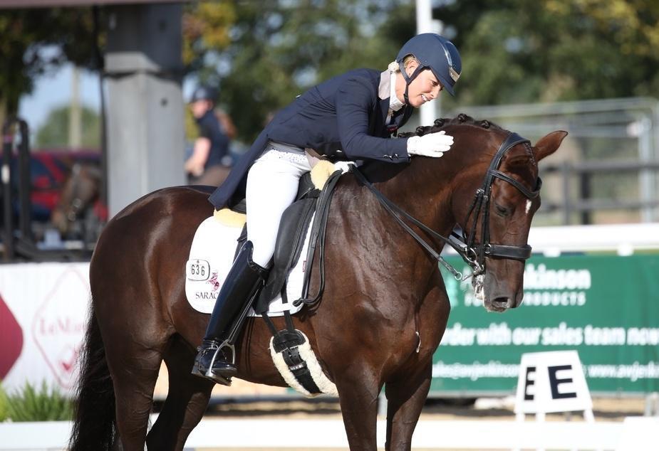 Dressage is complicated: Haygain's benefits are not!
