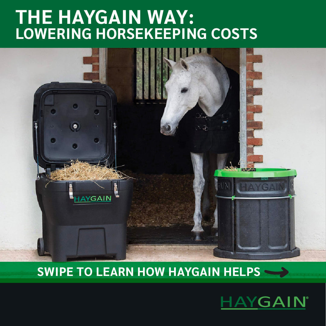 How Haygain Can Help Lower Horsekeeping Costs