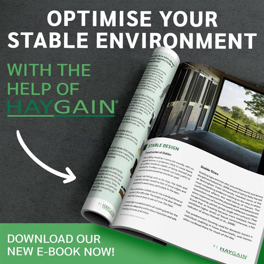 Optimising the Stable Environment