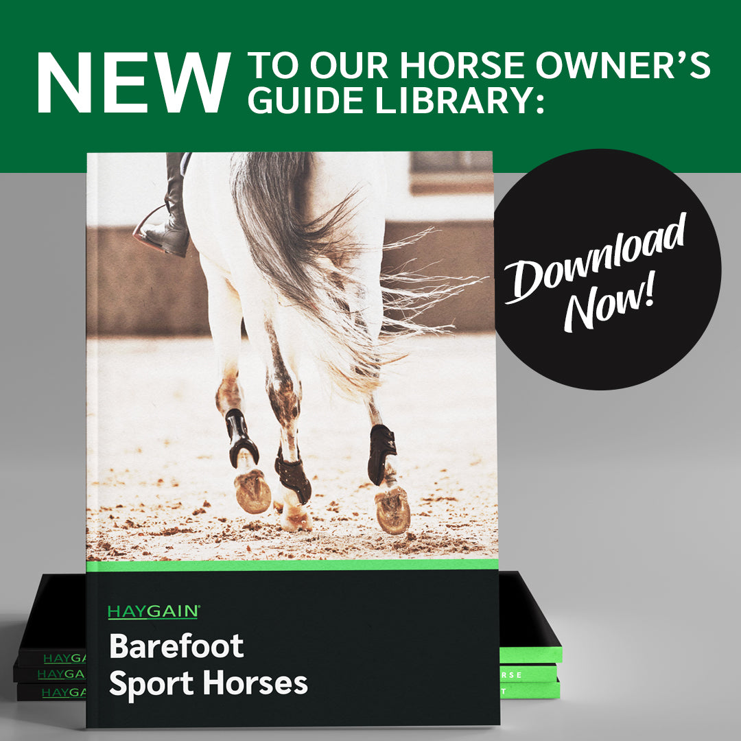Is Your Sport Horse Ready to Go Barefoot?