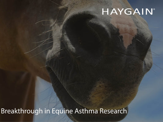 Scientific Reports, a Nature Research publication, publishes new research identifying new allergen associated with severe equine asthma (sEA)