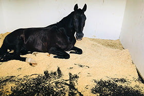 Stable mats