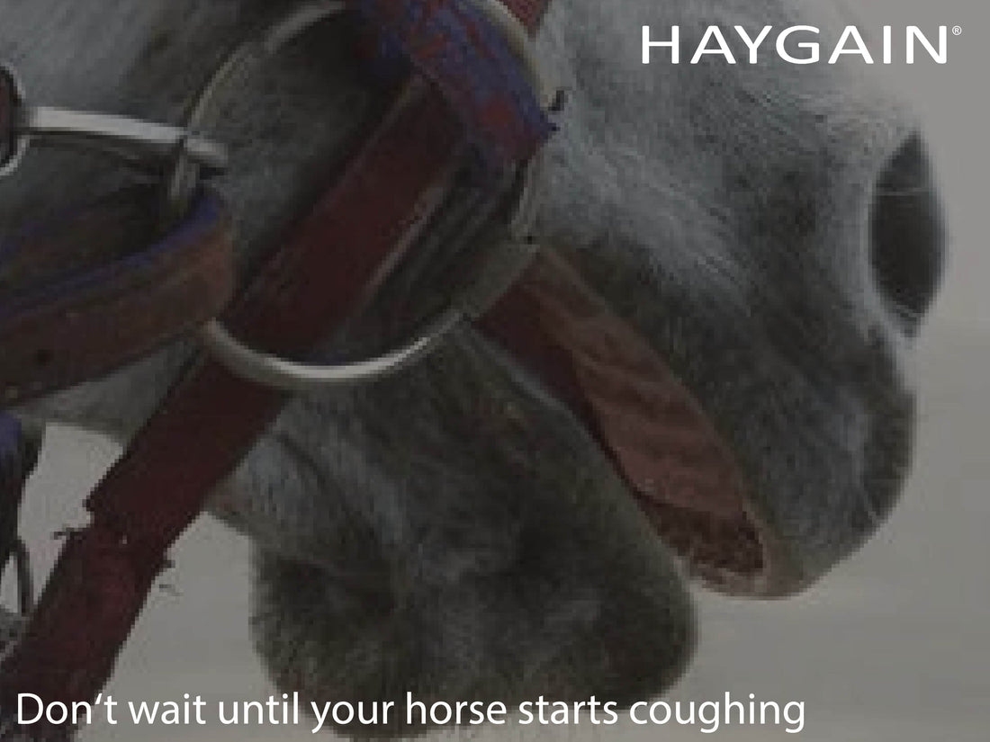 Don't wait until your horse starts coughing