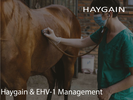 Haygain Helps with EHV-1 Precautionary & Management Measure