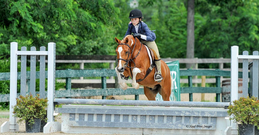 Show pony steams back to health with young horsewoman's help