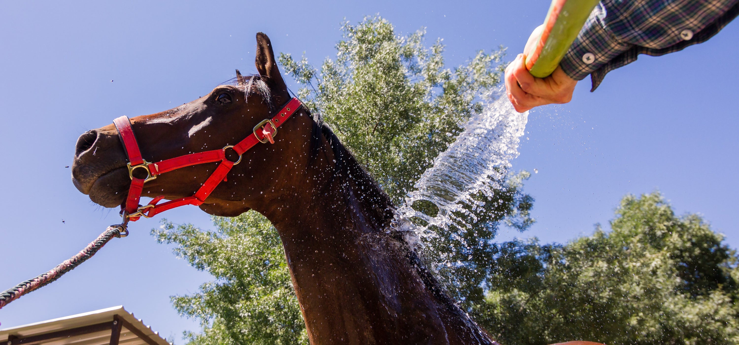 Feeling the heat?