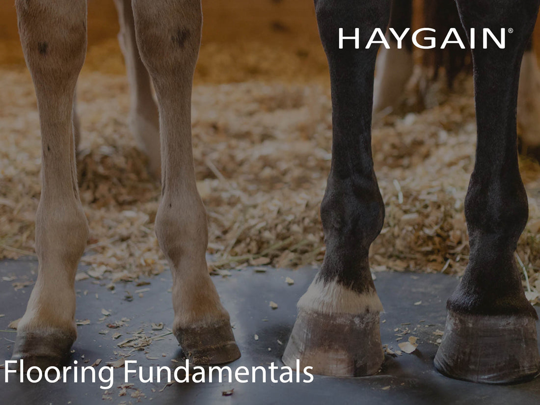 Flooring Fundamentals