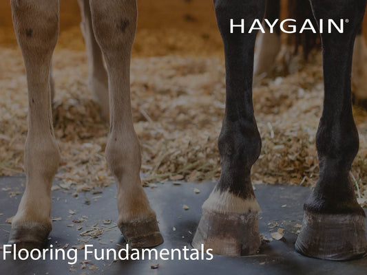 Flooring Fundamentals