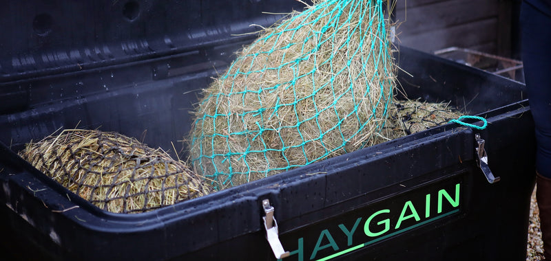 End of season hay