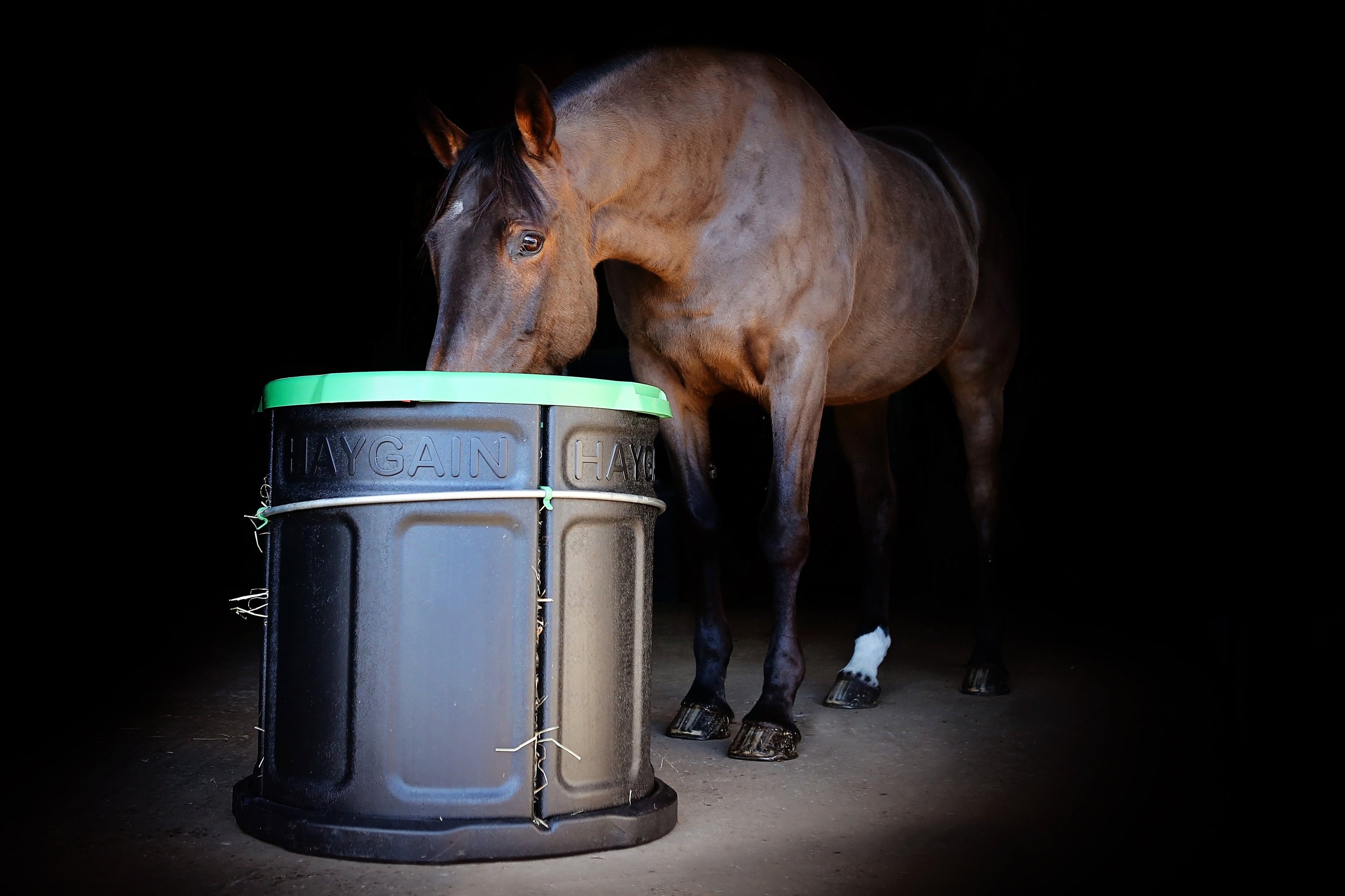 The nutritional benefits of slow feeding