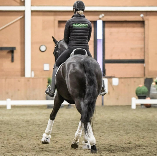 Haygain Becomes British Dressage Official Partner