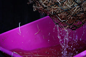 Environmental effects of Soaking vs Steaming hay