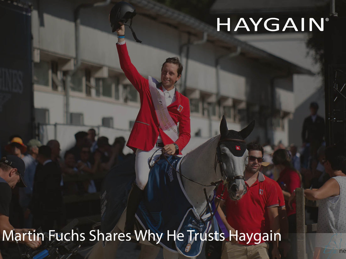 FEI Ranked World No.1 Showjumper Martin Fuchs talks about Haygain