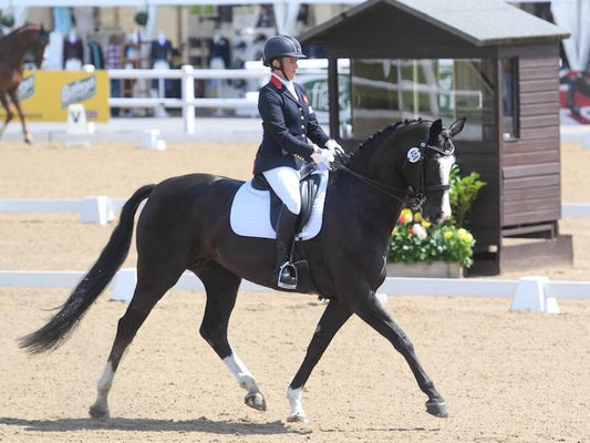 Riding horses is complicated for blind paradressage star. Feeding healthy hay isn’t.