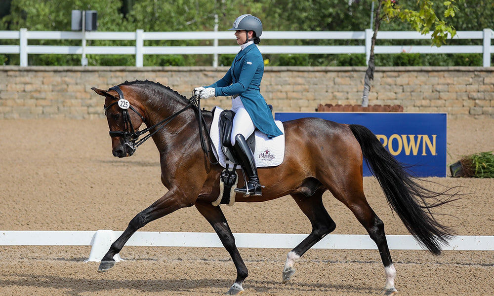 Allergies in a dressage horse? Start steaming your hay!