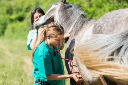 Sharon Smith, MSc IEng ACIWEM BSc(Hons), a specialist in equine gut health