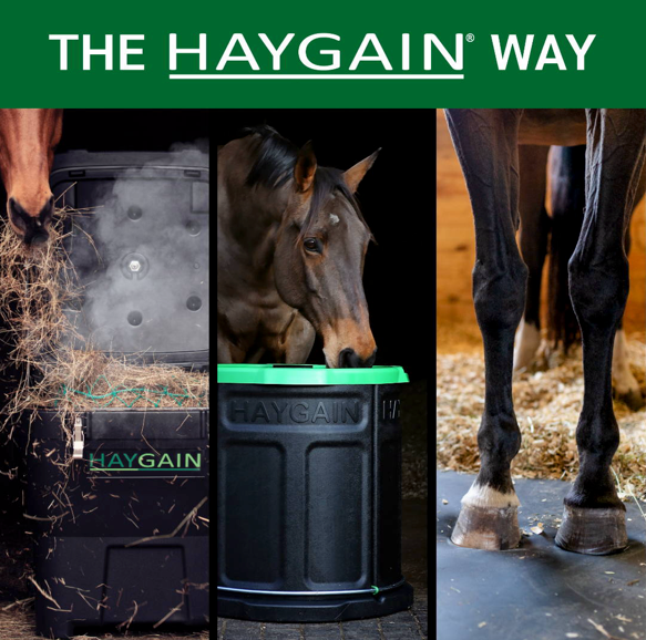 Understanding The Haygain Way: Revolutionizing Modern Horse Management