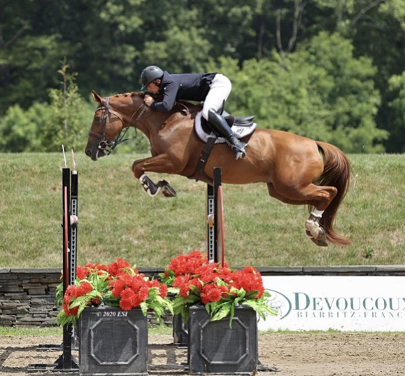 Nicky Galligan with his mare Javas Miss Jordan