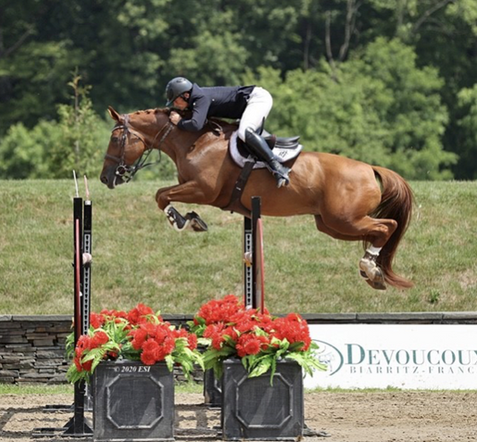 Nicky Galligan with his mare Javas Miss Jordan