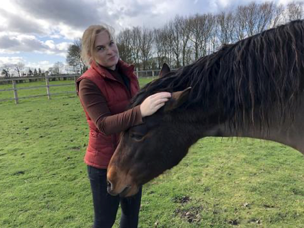 Optimizing Equine Health with Quality Forage and Hay Steaming