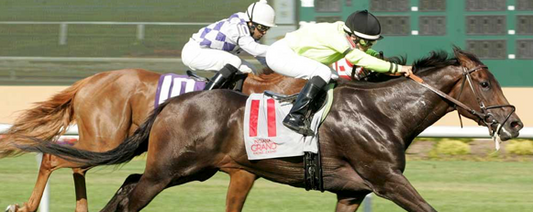 Thoroughbred racehorse trainer Joe Davis