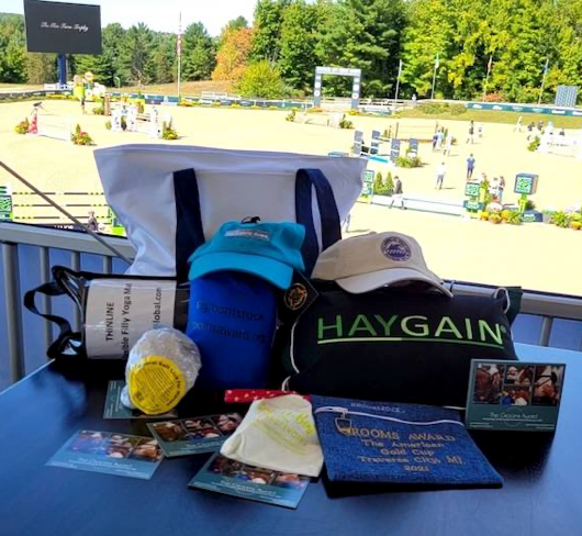 Groom caring for horse