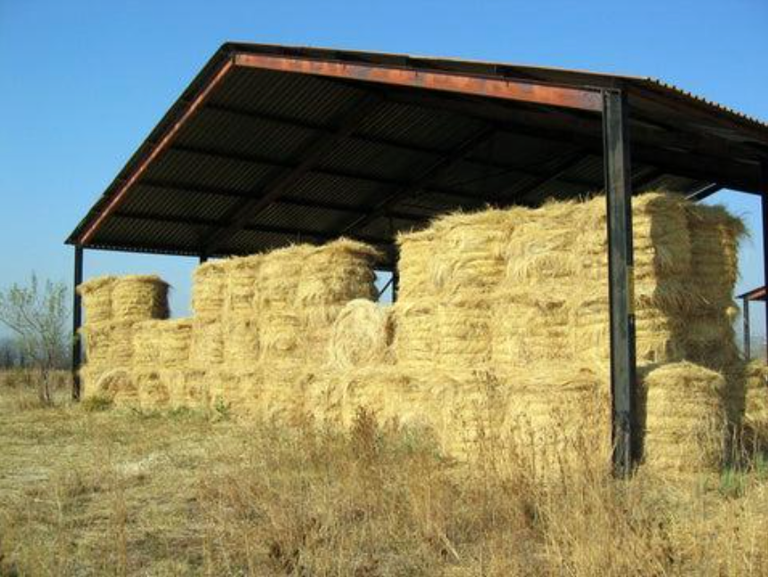 Stored hay after winter, potential quality degradation