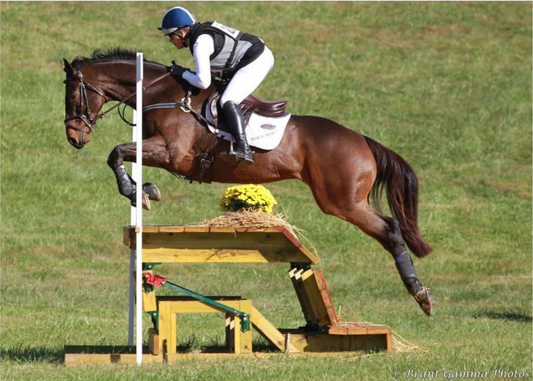 Scenic Four Schools Farm