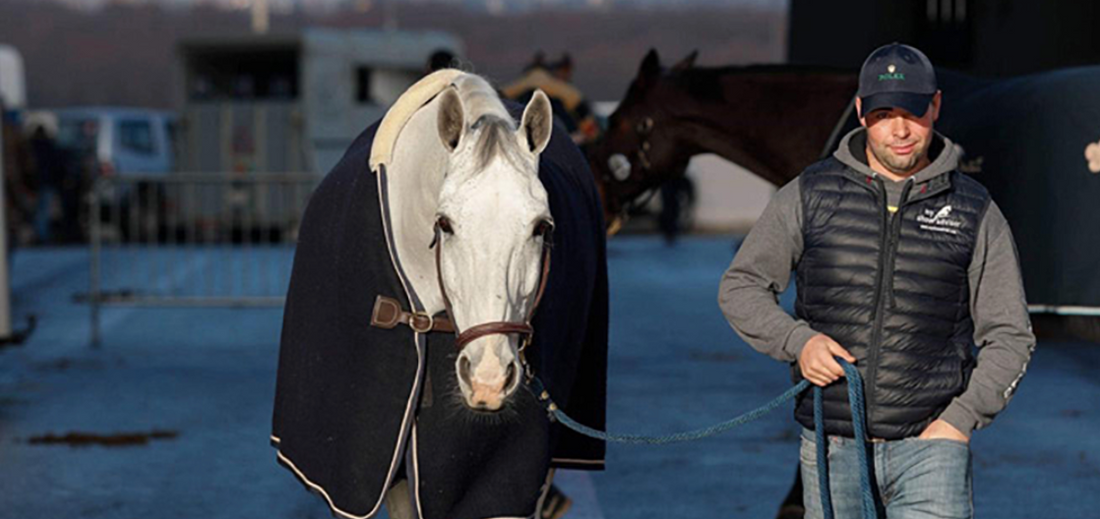 Sean Vard, the super groom for travelling horses worldwide