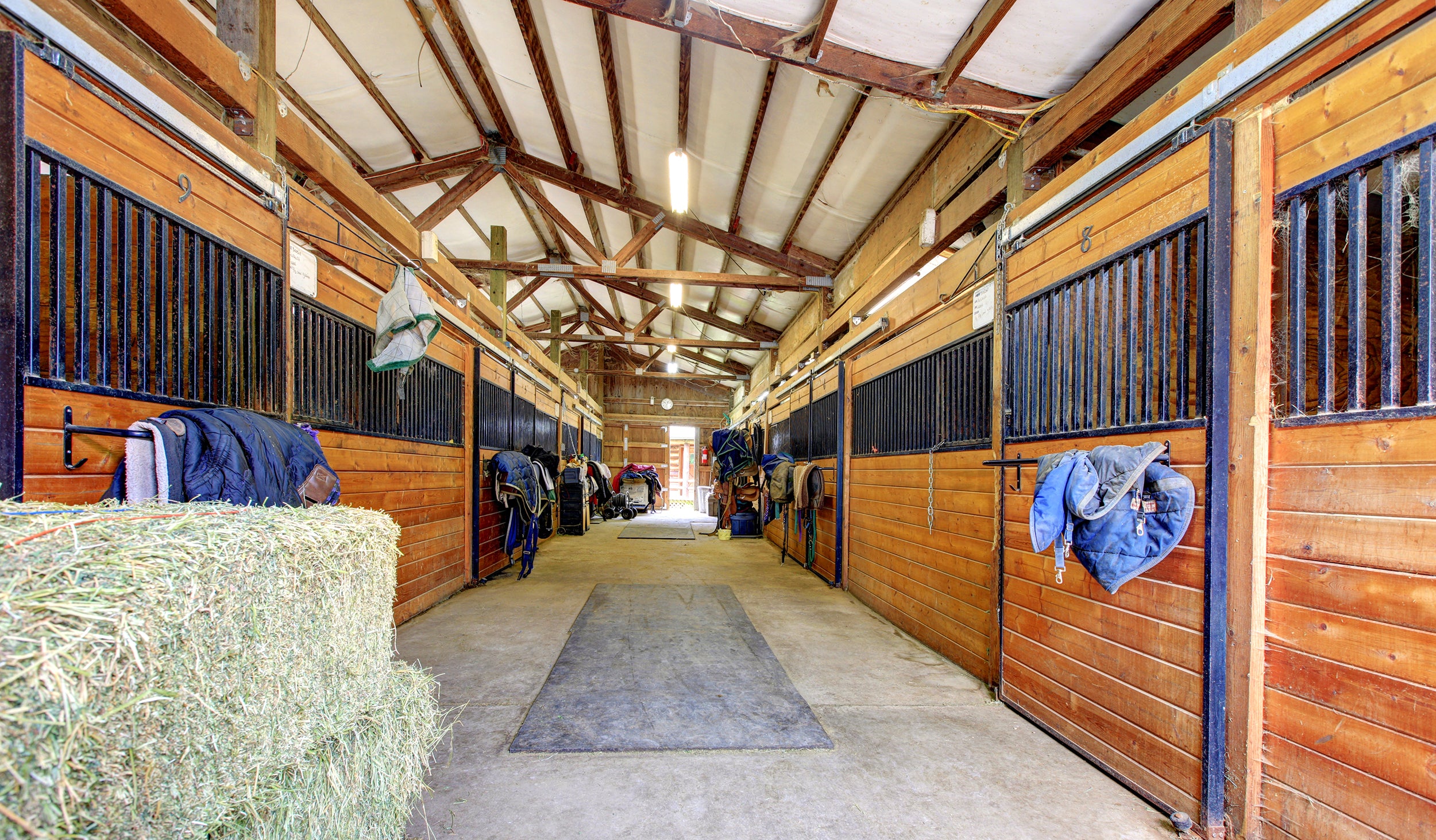 New Year Chores - Follow our week of practical tips!
