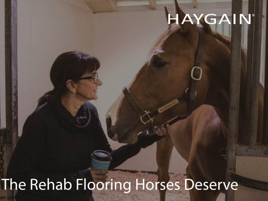 ComfortStall Flooring: The First Choice for Equine Rehabilitation Centres Globally