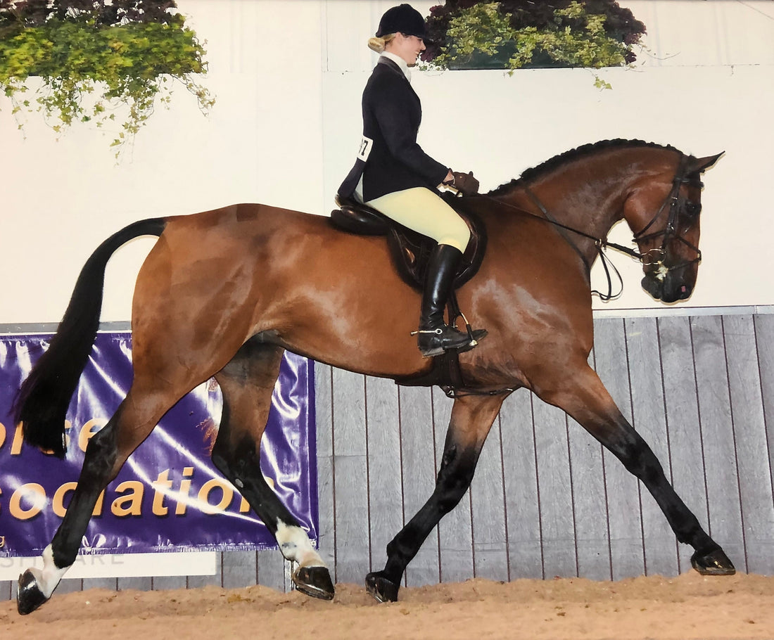 Show Horse or Eventer: Haygain Can Help!