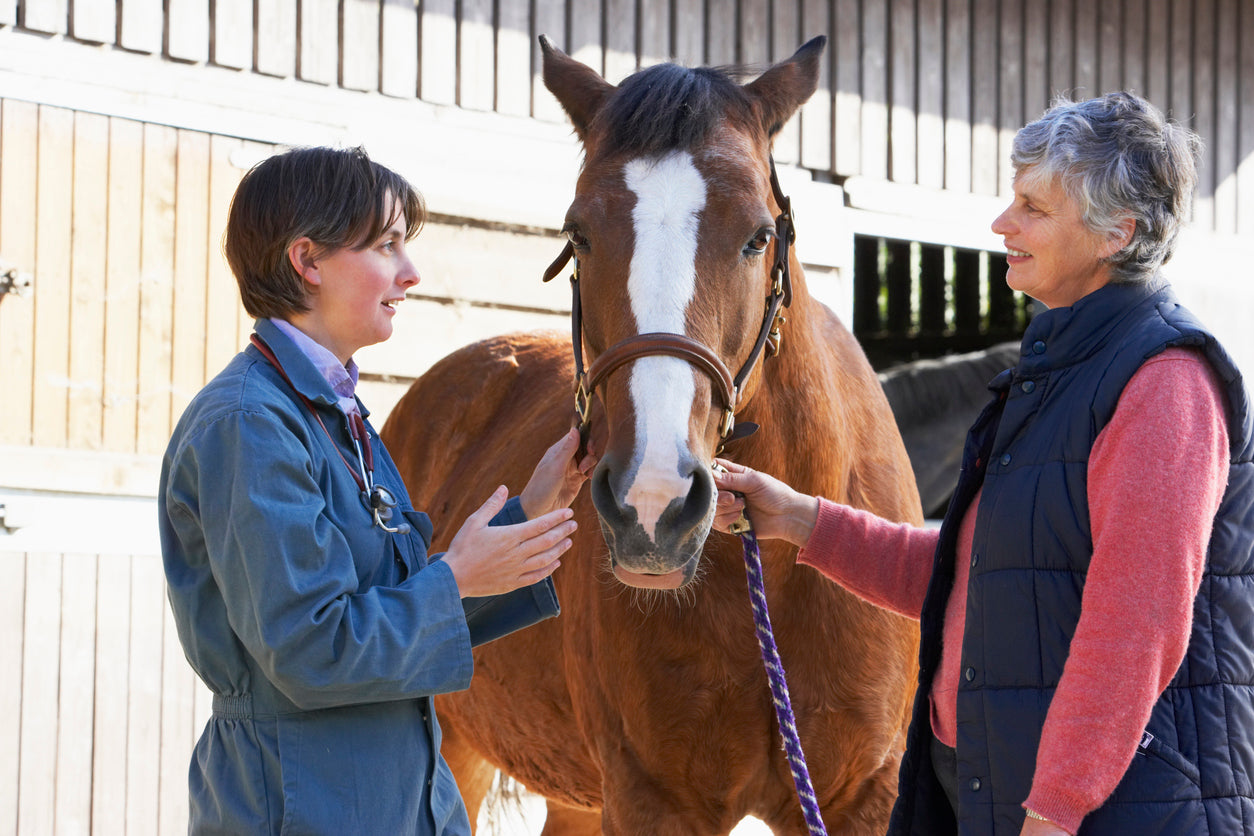 My horse has been diagnosed with IAD, how can Haygain steamed hay help?