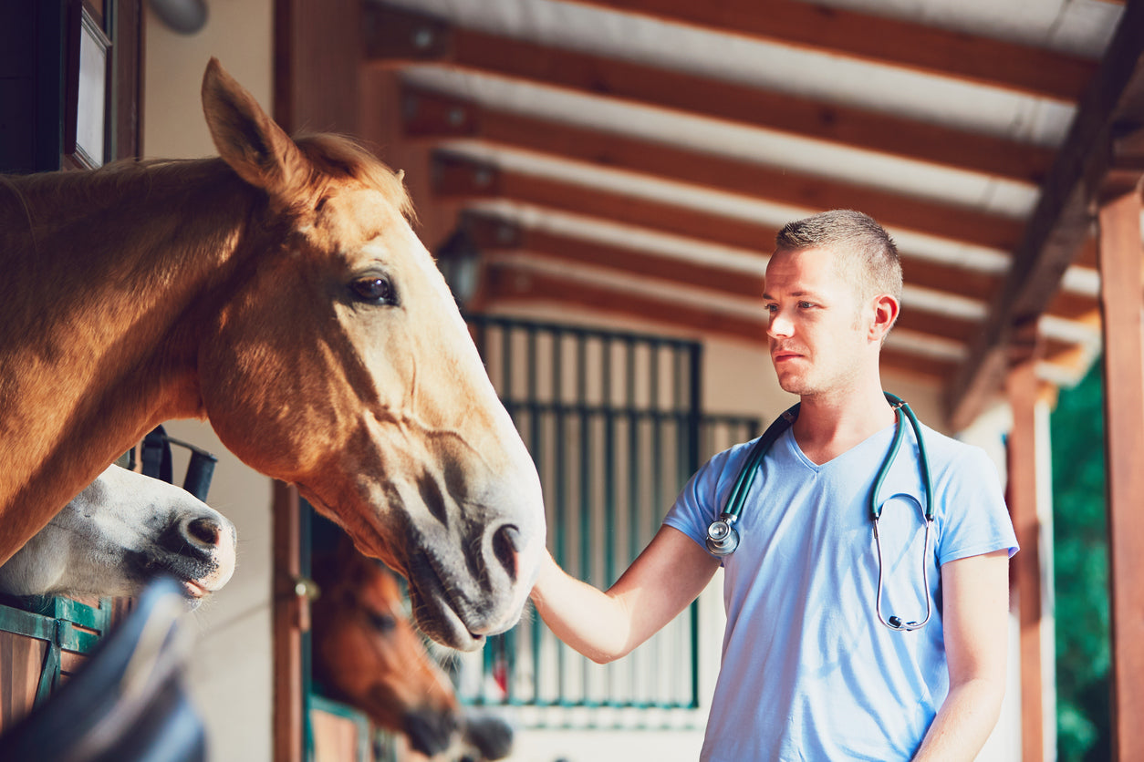 Ask the Vet, Part 5: Why does my horse cough?