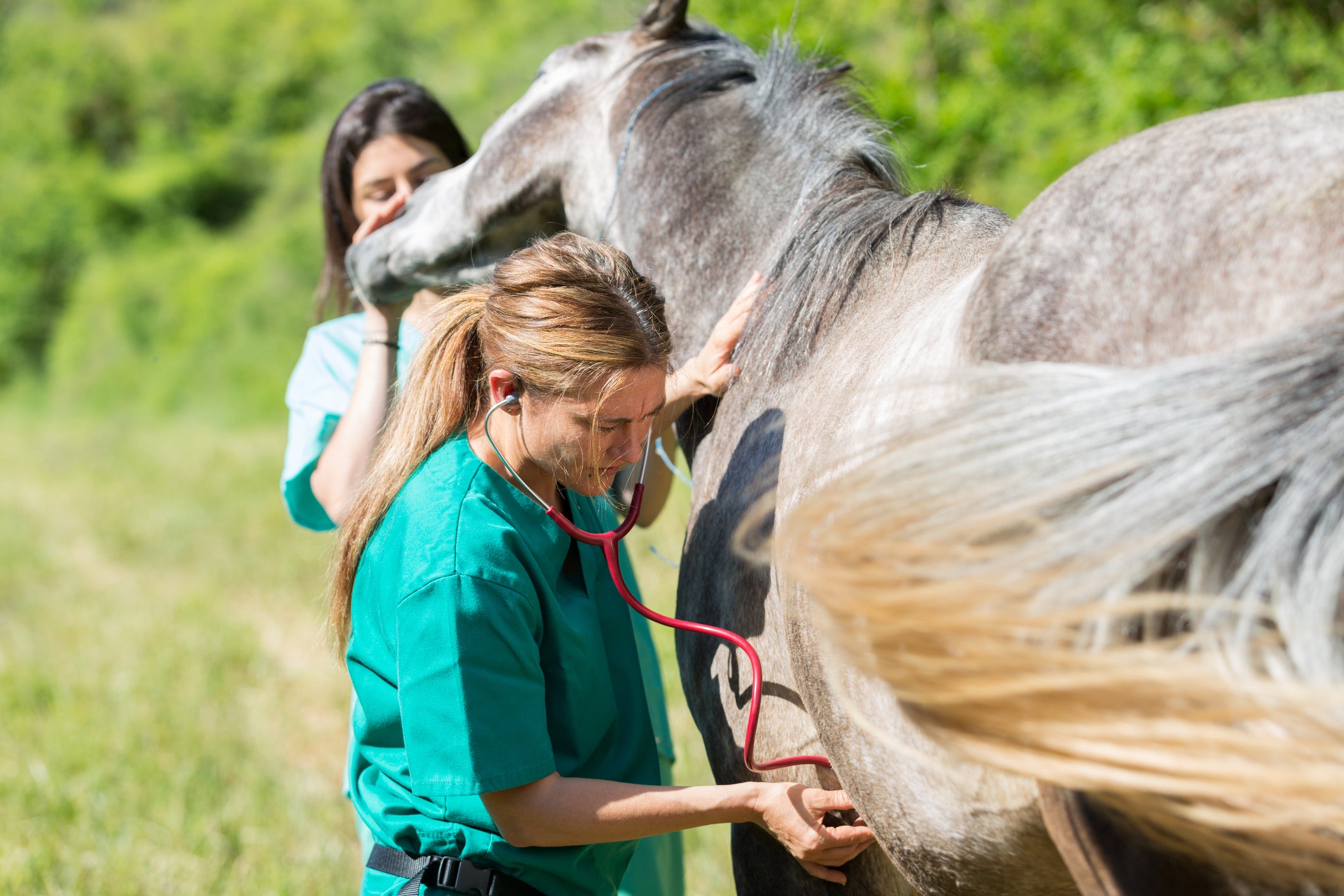 How can steaming help to prevent colic? Part 1
