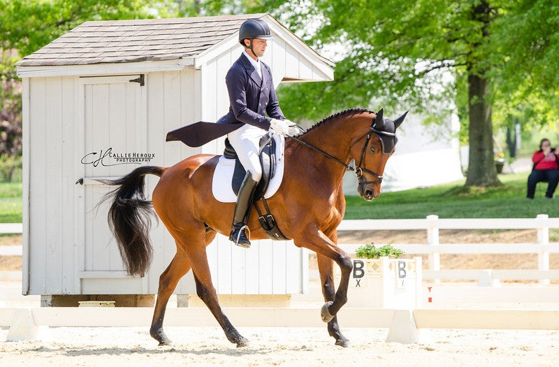 Five US Top 10 Eventers are Hay Steamers