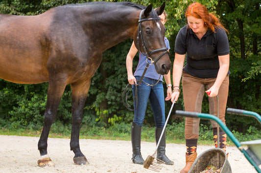 Top Tips for Sustainable horse keeping