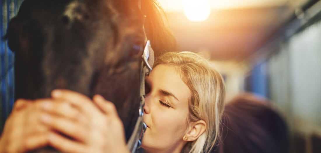 Five reasons your horse will love you for switching to steamed hay