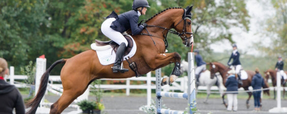 Rider Spotlight:  3 Day Eventer, Allison Springer