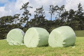 Types of Haylage