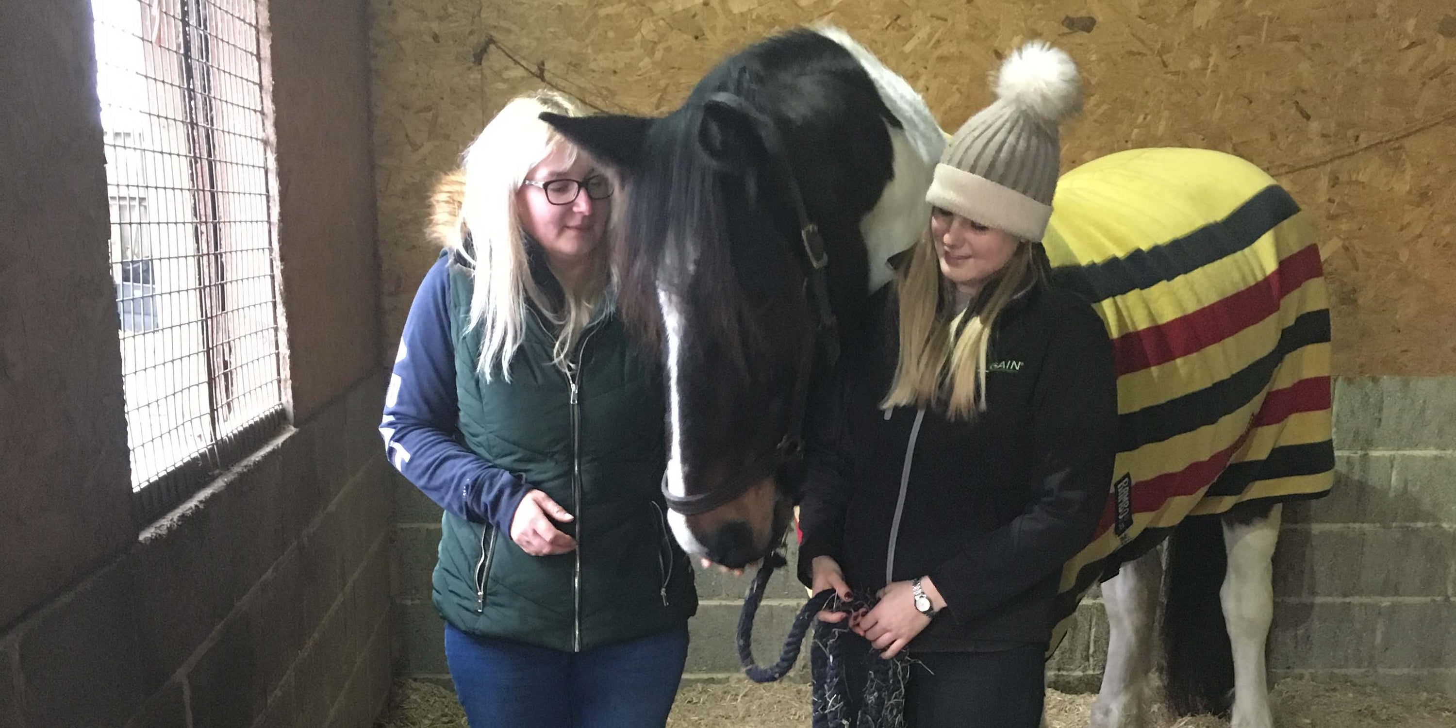 ComfortStall flooring and Haygain steamed hay, the perfect combination for happy horses..