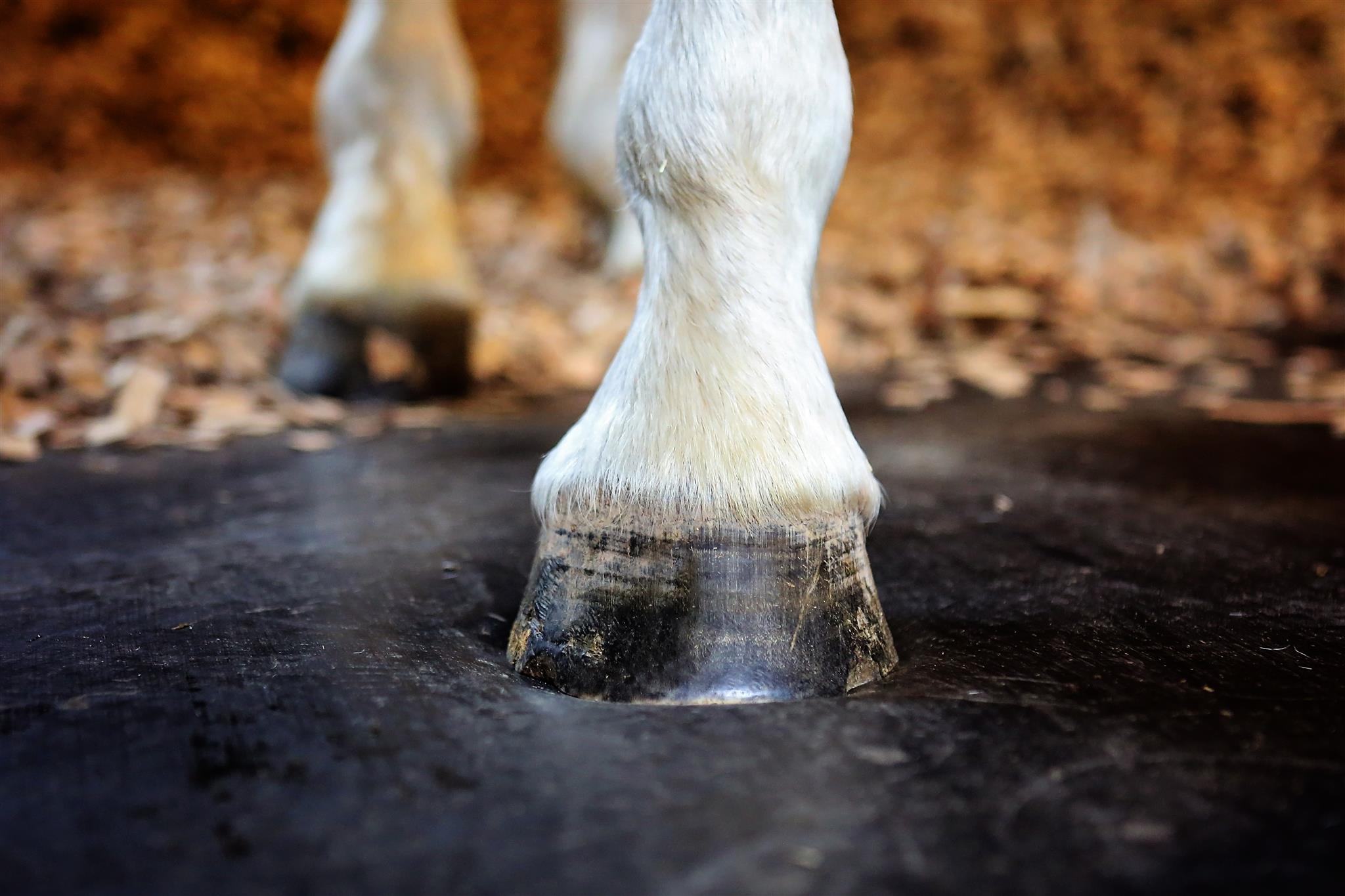 Stable Rubber Matting