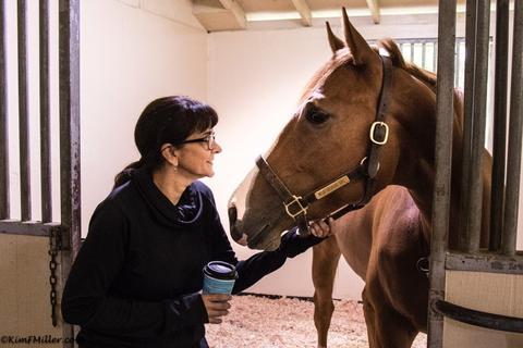 Katie Fisher caring for a thoroughbred horse