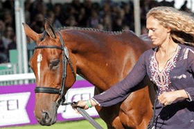 A round up of the season's highs and lows for event rider Jodie Amos