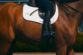 International Show Jumper Lauren Hough tells us how 2017 has been for Team Hough
