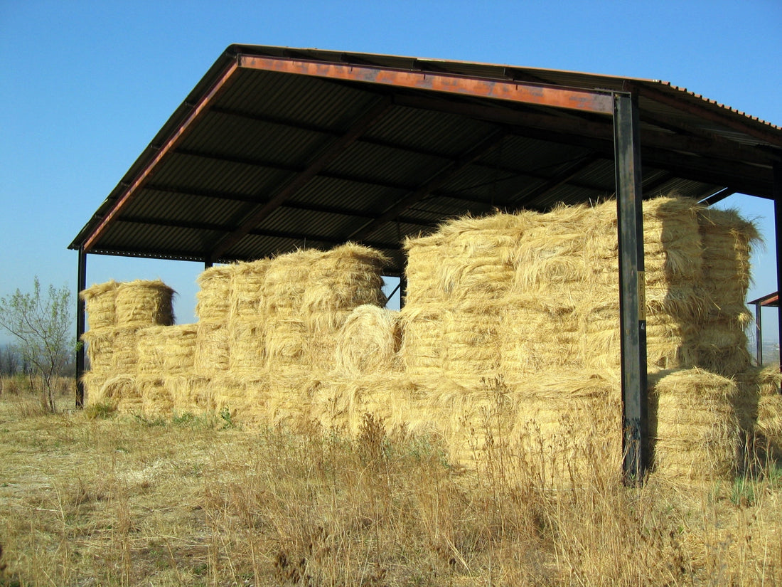 Maintaining your horse’s health with improved storage of hay